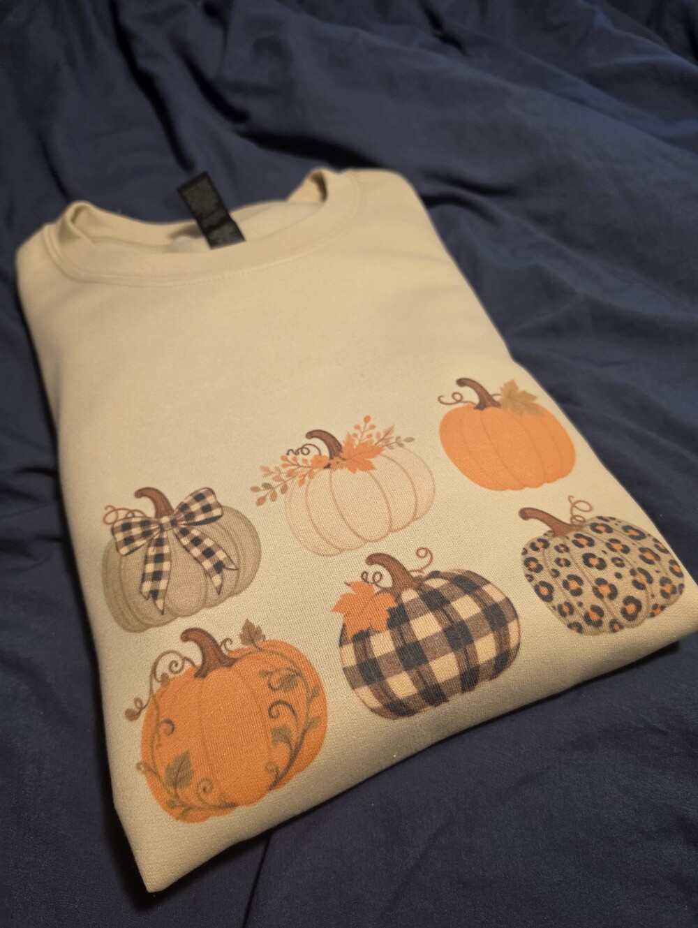 Womens Fall Crewneck Sweater